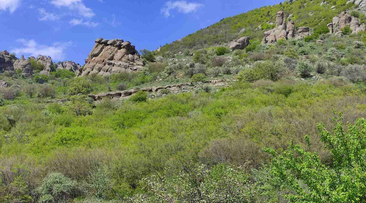 земля г Алушта с Лучистое фото 6
