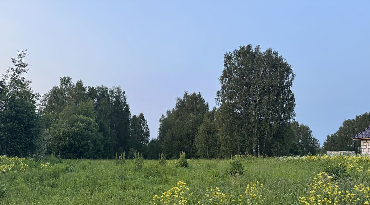 земля г Бор д. Елисино, 16 фото 2