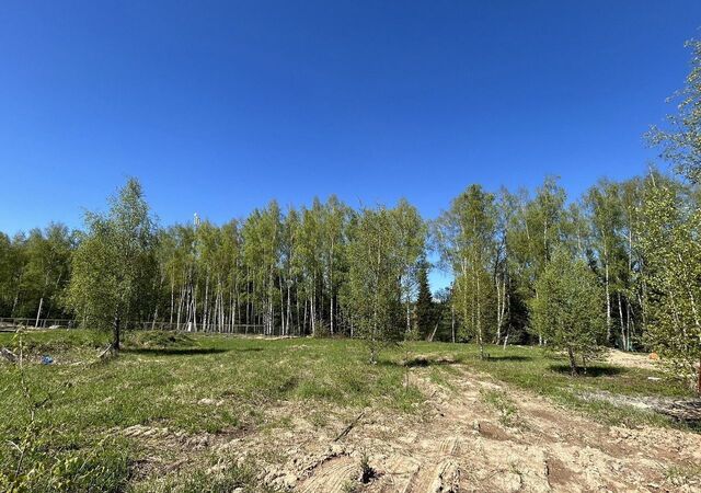 направление Павелецкое (юго-восток) ш Каширское 78 км, ул. Николая Островского, Ступино фото