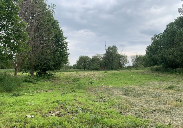 76 км, Богородское, Ярославское шоссе фото