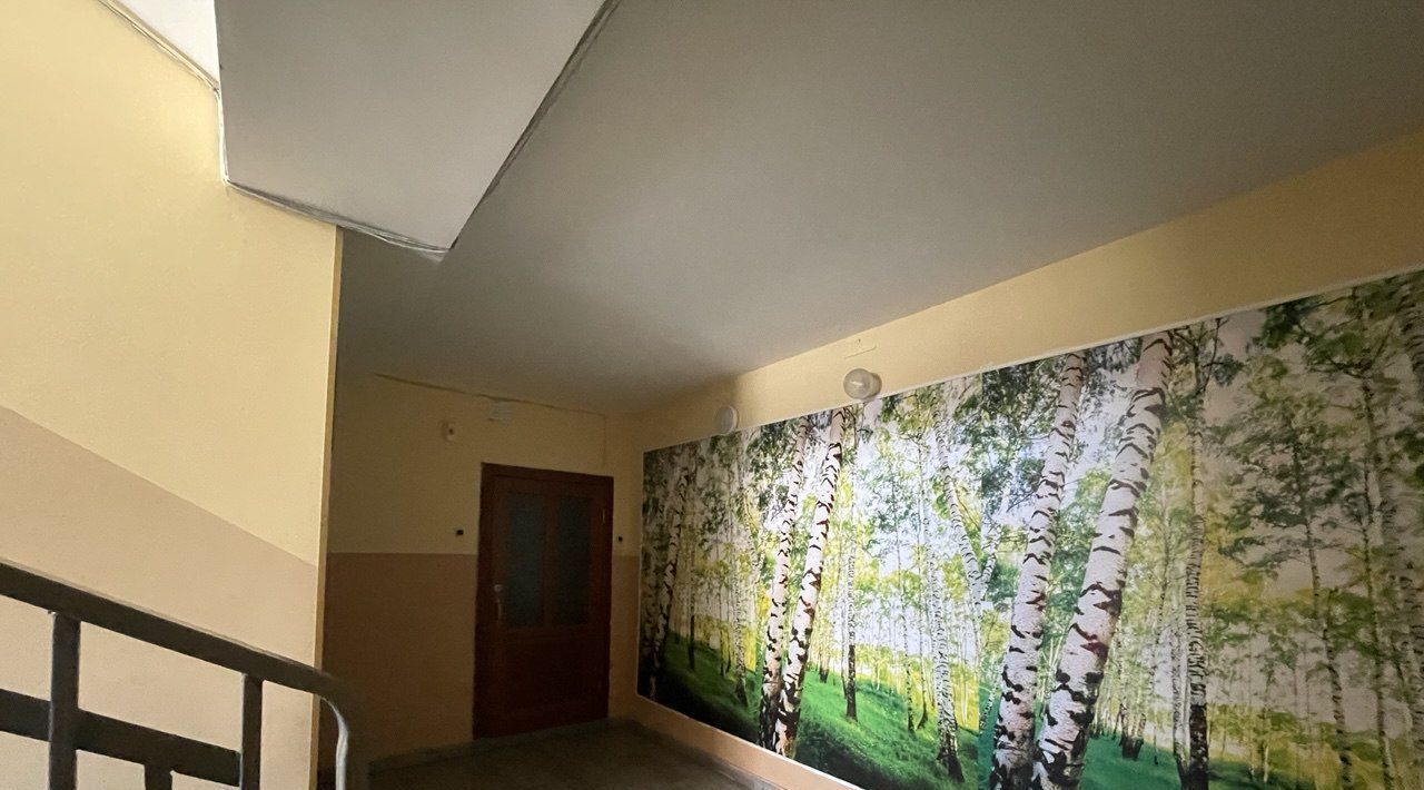 квартира г Омск р-н Центральный ул 21-я Амурская 37 ЖК «Амурский-2» Центральный АО фото 4