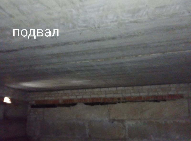 дом г Барнаул п Новомихайловка ул Брусничная Поляна 18 фото 3