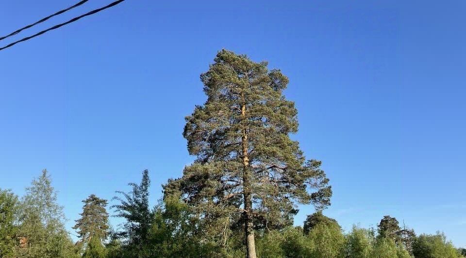 земля г Видное ул Хуторская Битца фото 4