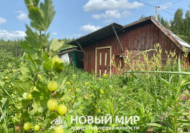 64, Бор, СНТ Восход № 2 фото