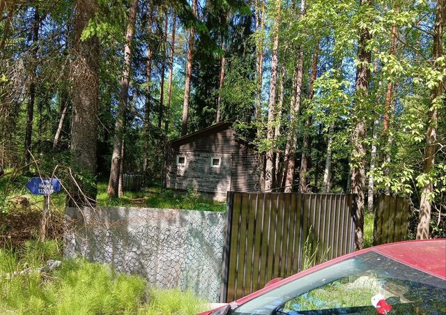 Выборгское шоссе, 41 км, Рощинское городское поселение, пос. при железнодорожной станции Каннельярви, 135, СНТ Вита фото