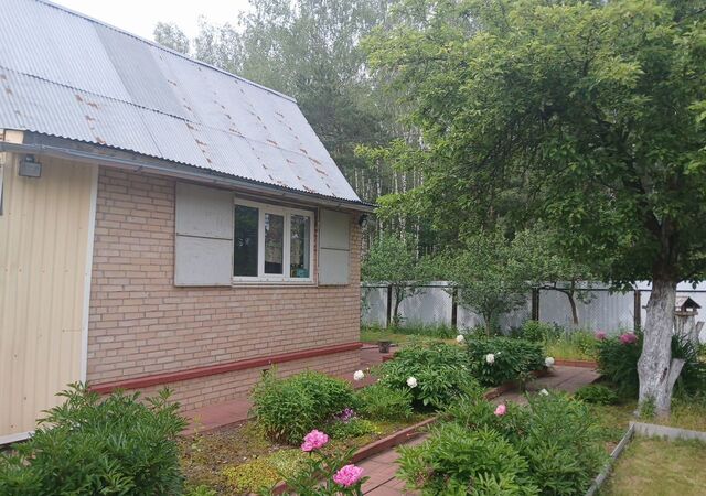 53 км, 1, СНТ Восход, Носовихинское шоссе фото