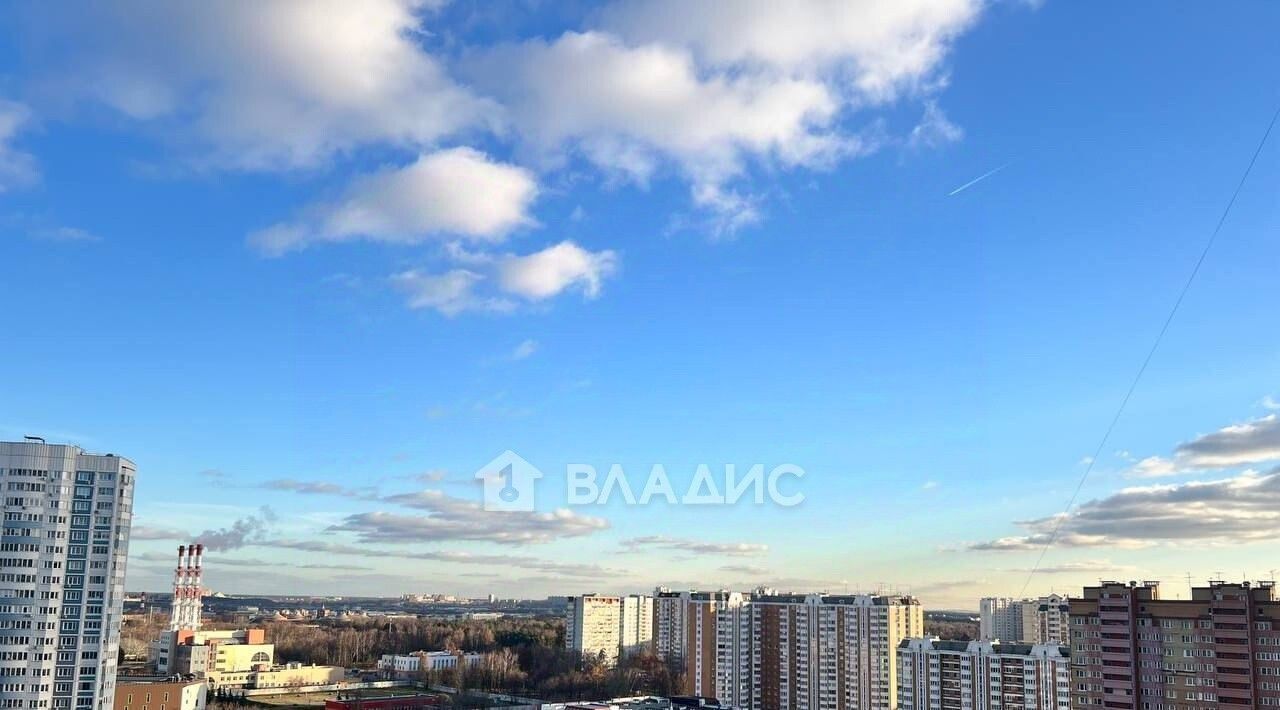 квартира г Люберцы Красная горка пр-кт Гагарина 26к/3 Люберцы фото 13