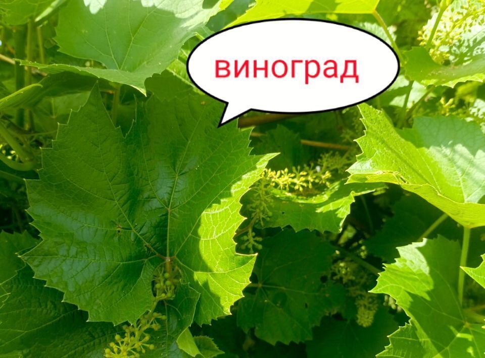 дом г Барнаул п Новомихайловка ул Брусничная Поляна 18 фото 15