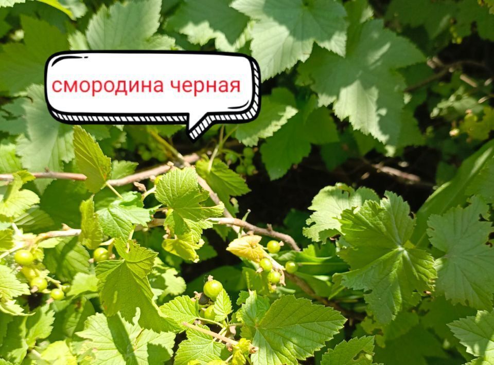 дом г Барнаул п Новомихайловка ул Брусничная Поляна 18 фото 20