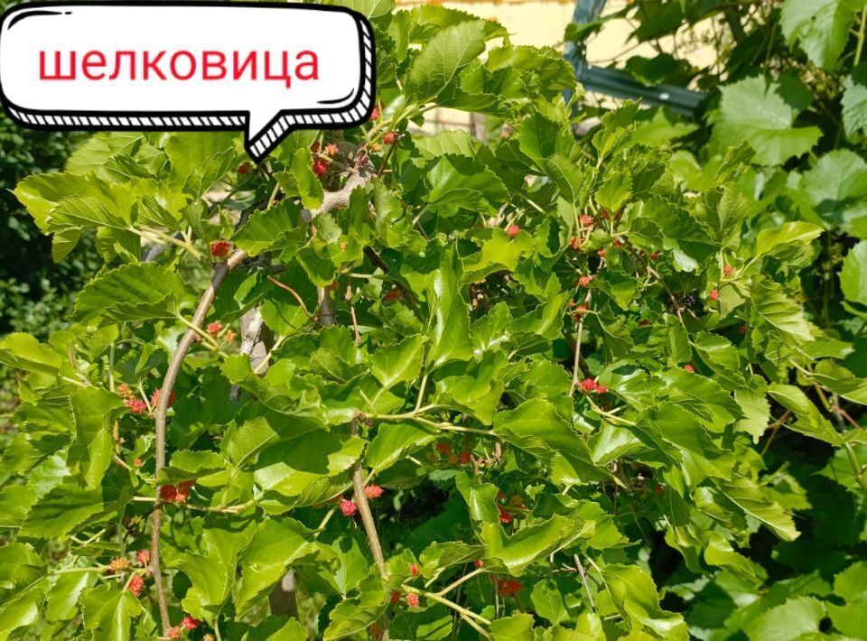 дом г Барнаул п Новомихайловка ул Брусничная Поляна 18 фото 18
