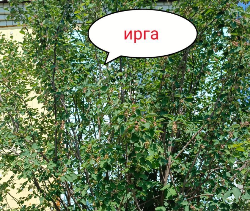 дом г Барнаул п Новомихайловка ул Брусничная Поляна 18 фото 14