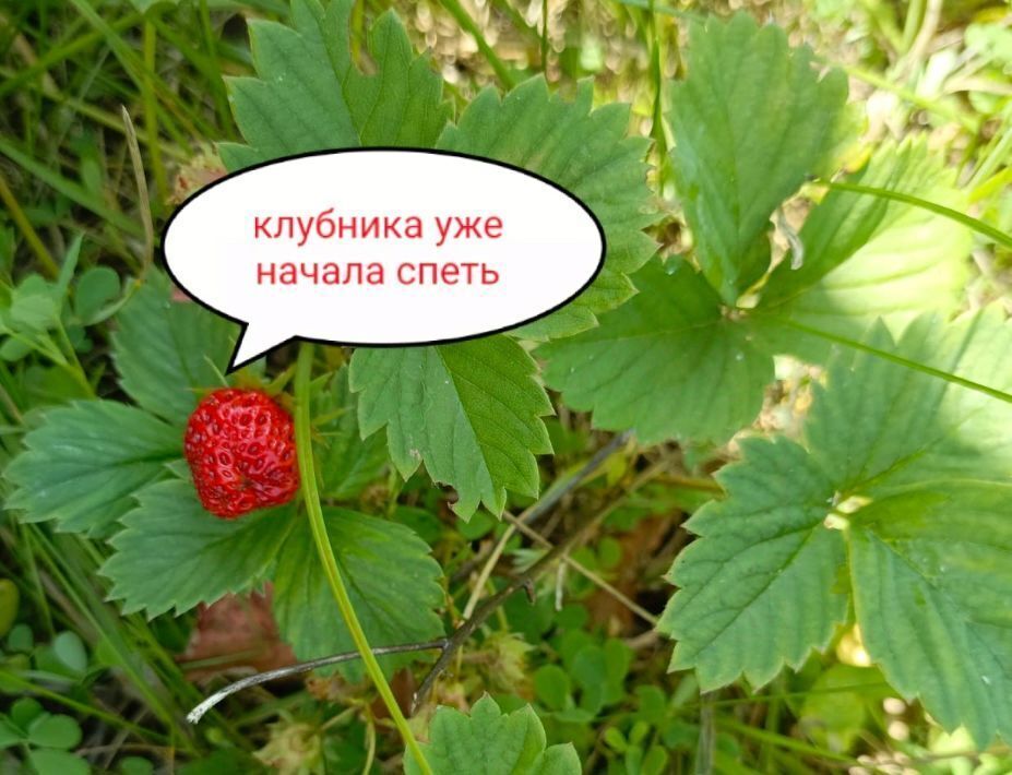 дом г Барнаул п Новомихайловка ул Брусничная Поляна 18 фото 25