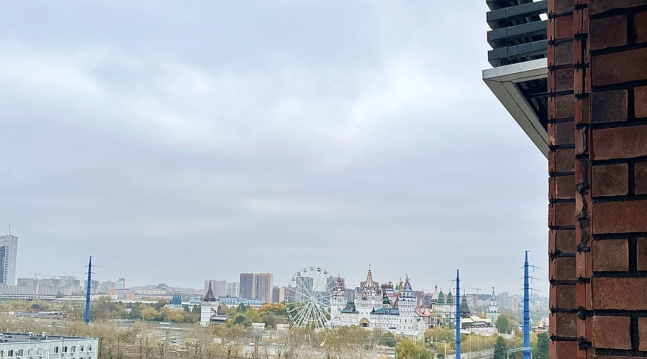 квартира г Москва метро Измайлово проезд Окружной 10б фото 5