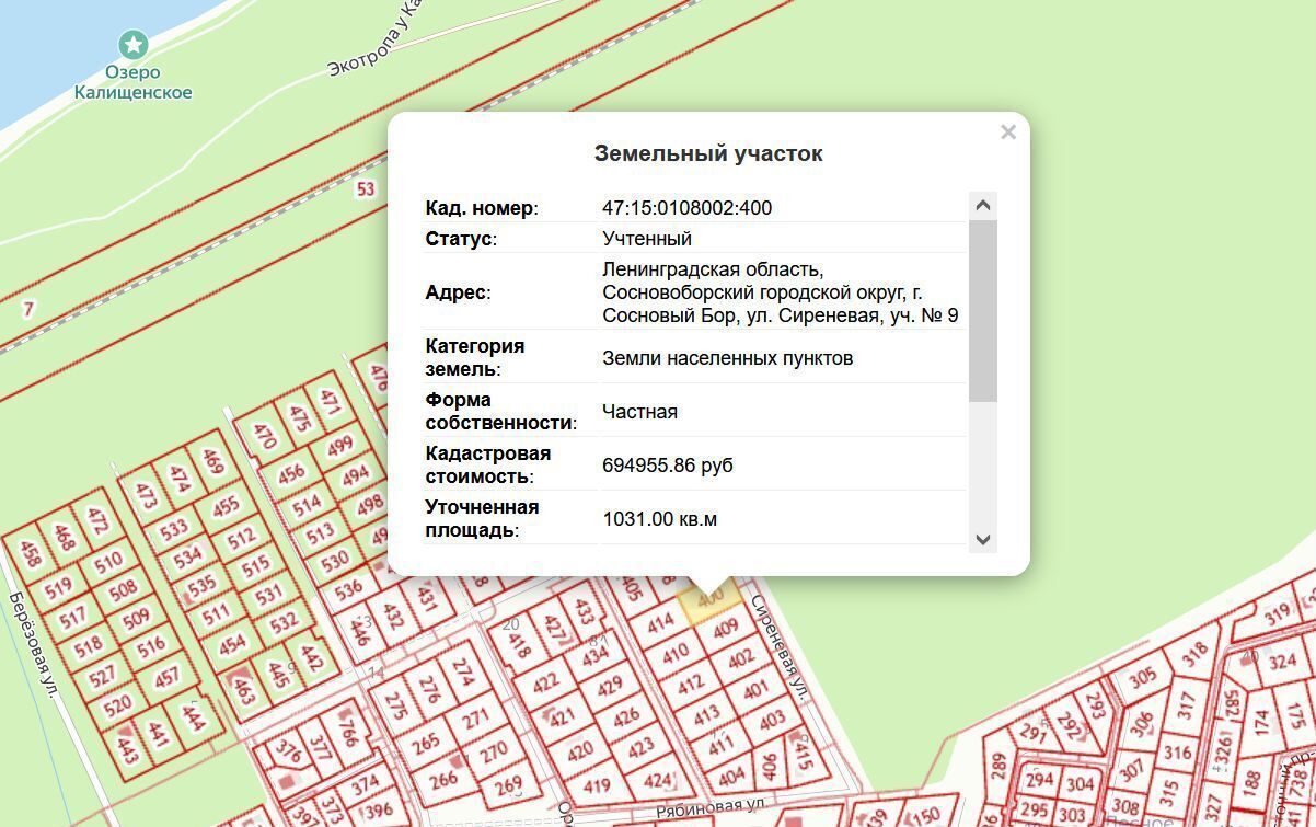 земля г Сосновый Бор ул Сиреневая 9 Сосновоборский г. о., коттеджный пос. фото 19