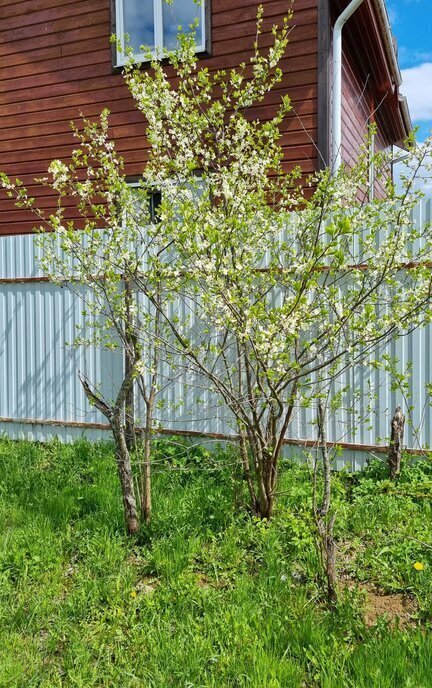 земля г Серпухов городок Старый ул Почтовая 137 Городок, 5-й, квартал, 137 фото 7