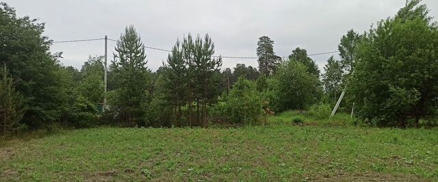 Рефтинский фото