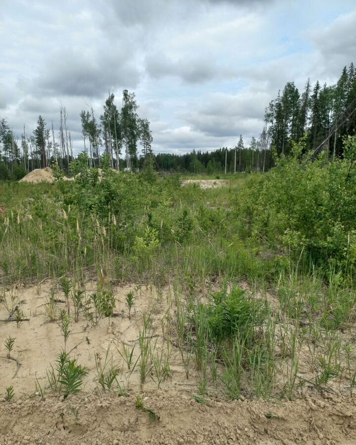 земля г Югорск ул Тихая 65 Тюменская обл. фото 2