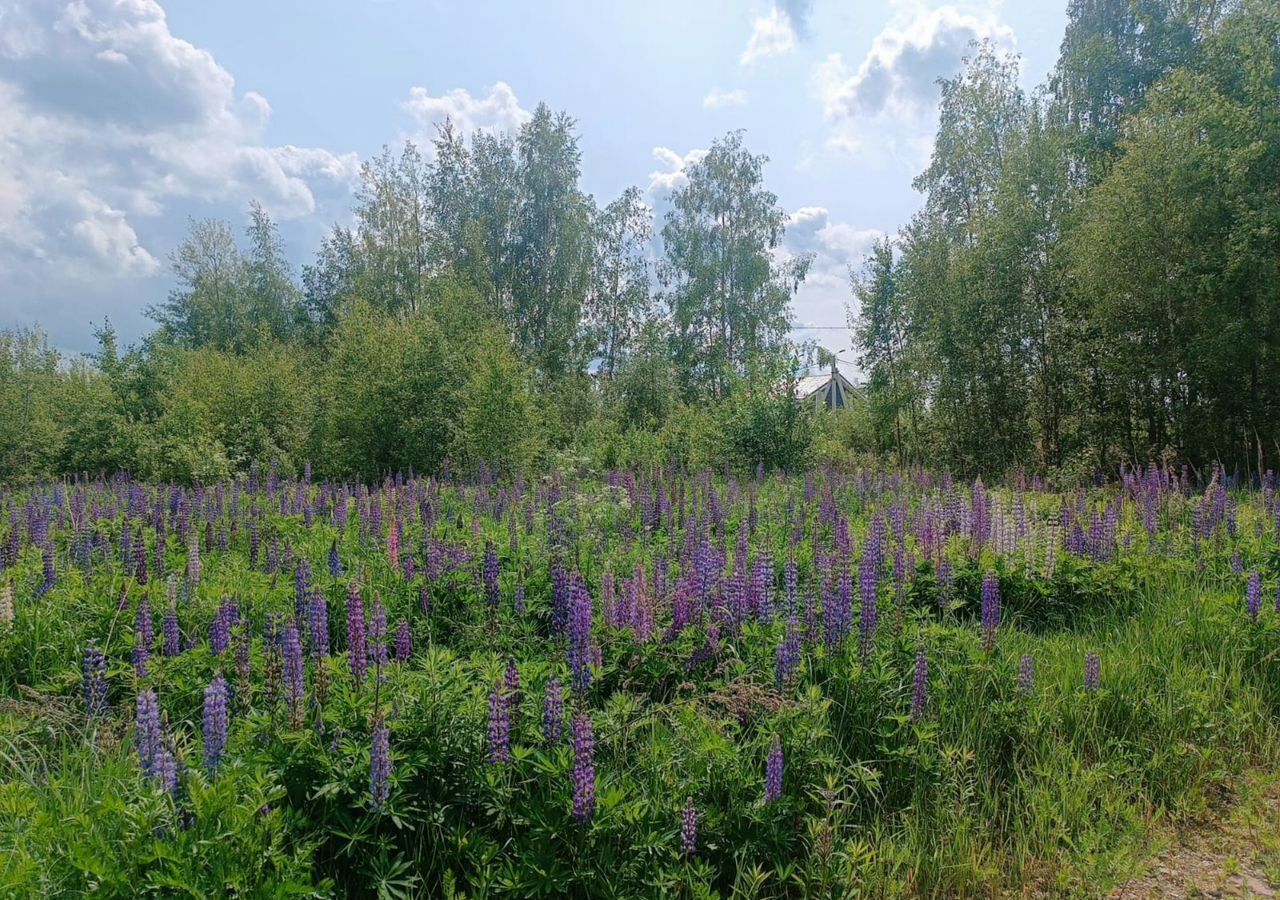 земля г Электрогорск снт Пчёлка 59 км, Павлово-Посадский г. о., Горьковское шоссе фото 3