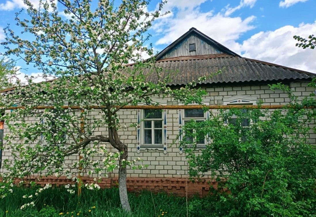 дом г Курск р-н Центральный ул Нижняя Казацкая 237 фото 1