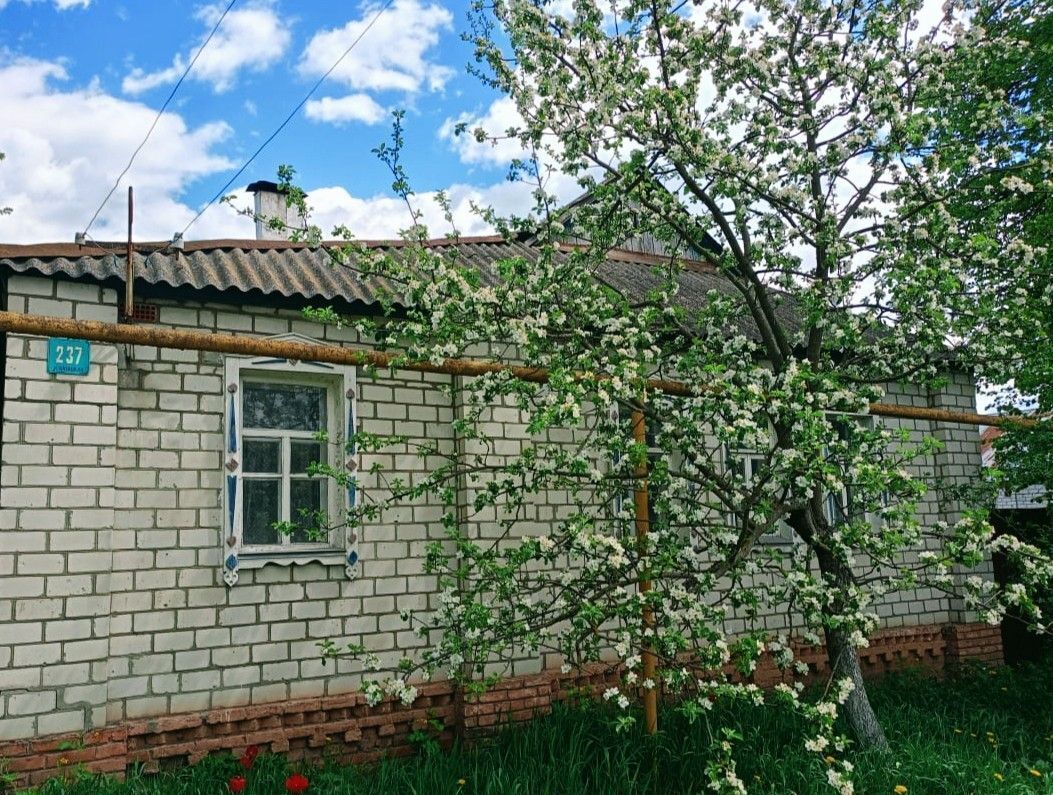 дом г Курск р-н Центральный ул Нижняя Казацкая 237 фото 2