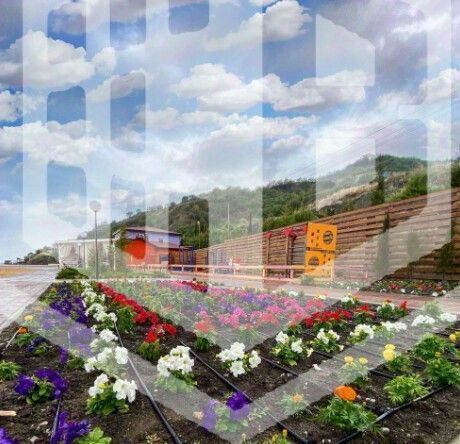 квартира г Алушта п Семидворье р-н мкр Александрийская дача 26с 7 фото 6