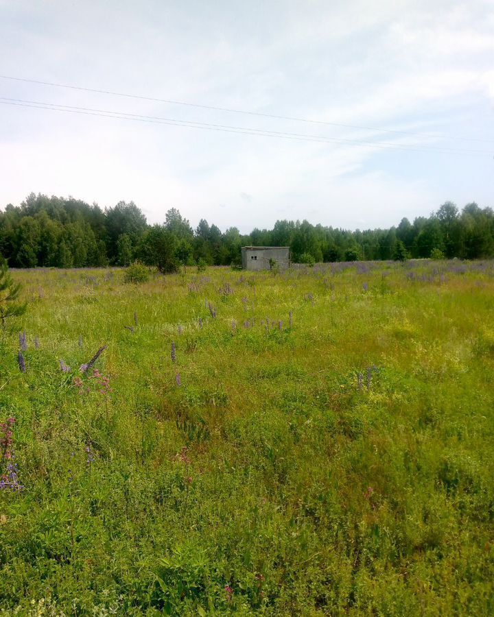 земля г Семенов д Белоглазово фото 1
