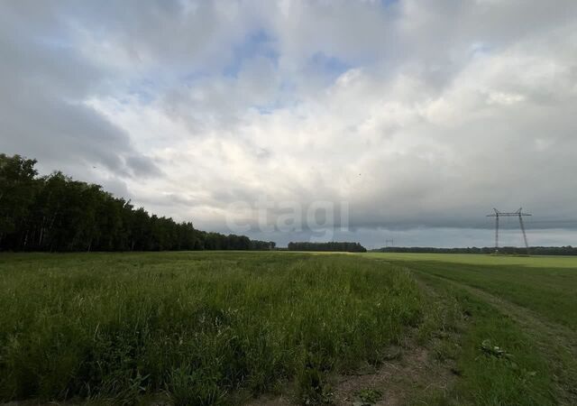 Каменское муниципальное образование, Тюмень фото