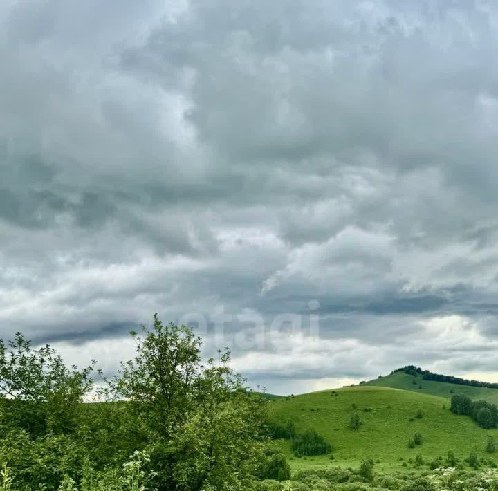 земля г Бийск фото 1