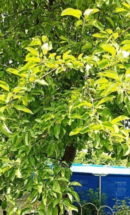 дом г Нижний Новгород Бурнаковская ул Гродненская 5 фото 24