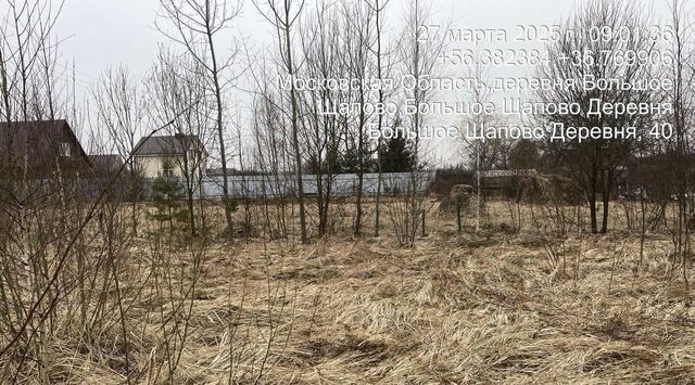д Большое Щапово фото