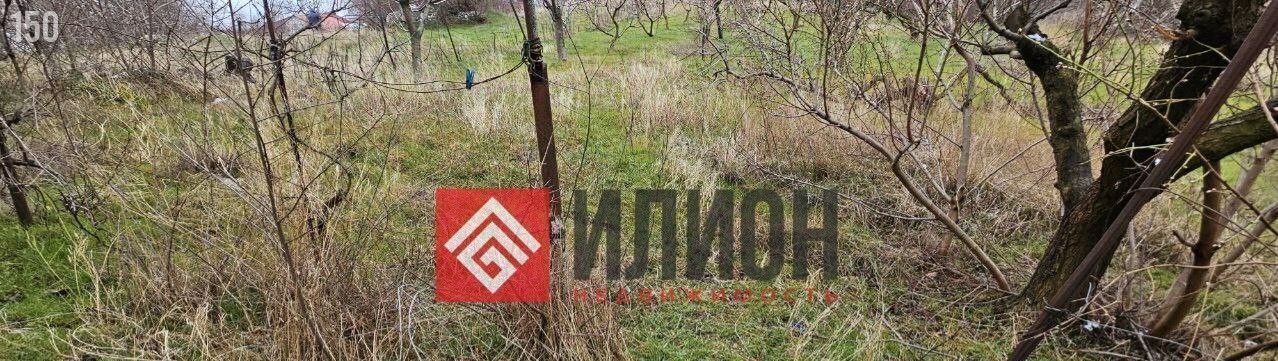 земля г Ялта пгт Голубой Залив ул Возрождения 1б фото 4