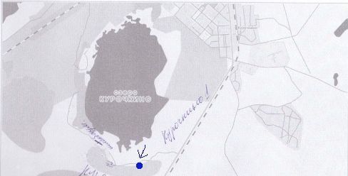 земля г Копейск снт Курочкино-2 Копейский г. о. фото 1