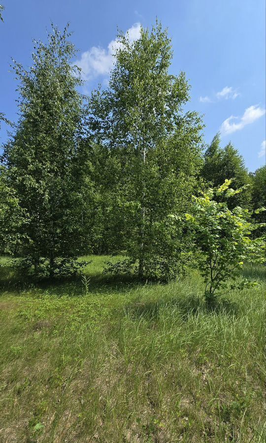 земля г Копейск п Заозерный Копейский г. о., Вишнёвая ул., 1 фото 3