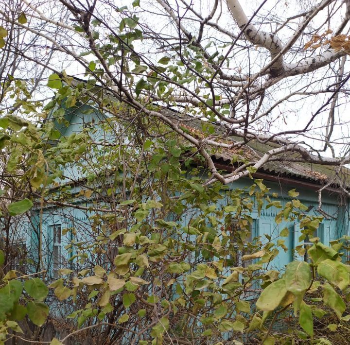 дом г Похвистнево Красные Пески ул Краснопутиловская фото 3