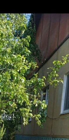 дом д Мазальцево Стабенское сельское поселение, Печерск фото
