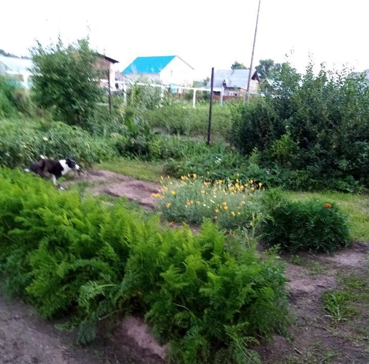 дом г Барнаул с Власиха ул Мамонтова 90б фото 4