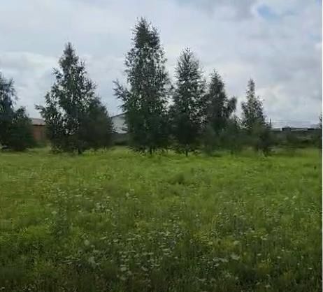 земля р-н Рыбновский г Рыбное 61К-017 фото 2