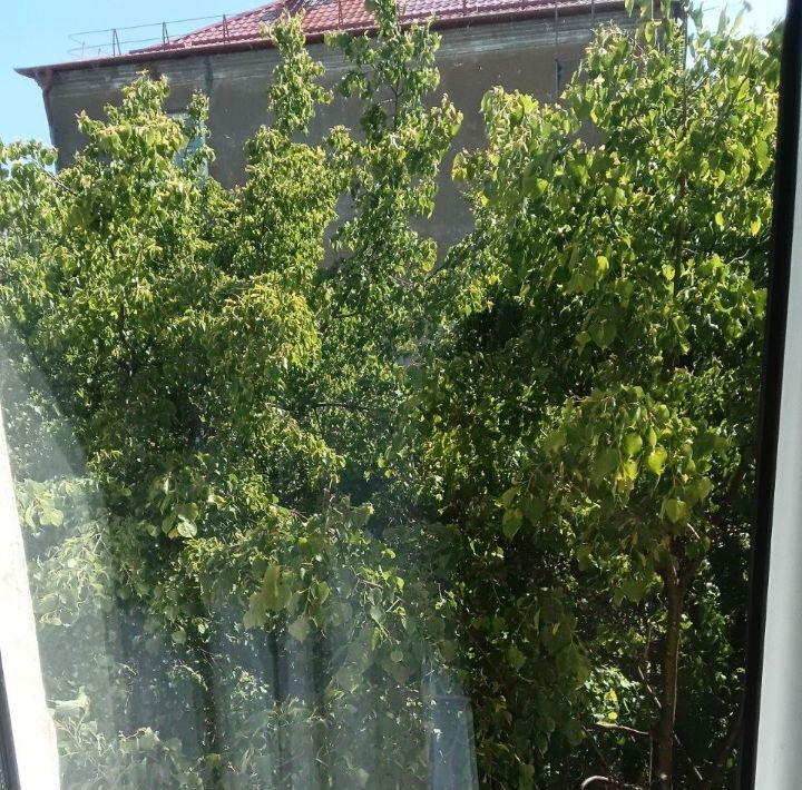 квартира г Калининград р-н Московский ул Казанская 20 фото 8
