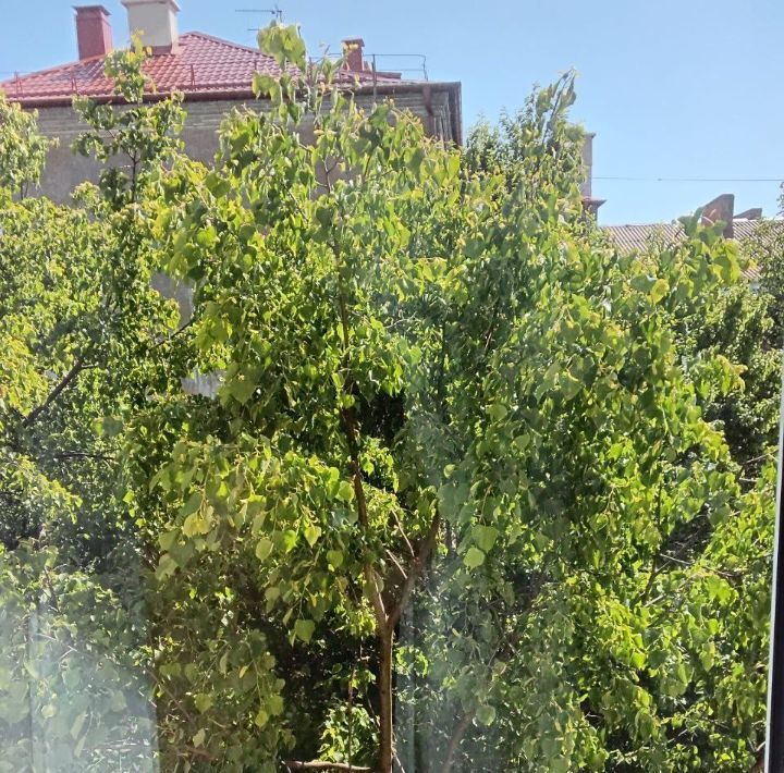 квартира г Калининград р-н Московский ул Казанская 20 фото 9
