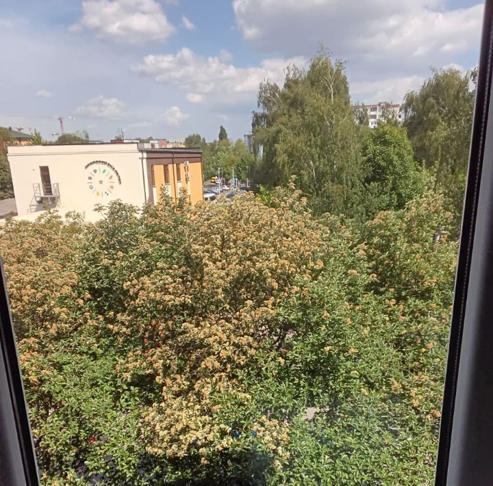 квартира г Калининград р-н Московский ул Казанская 20 фото 19