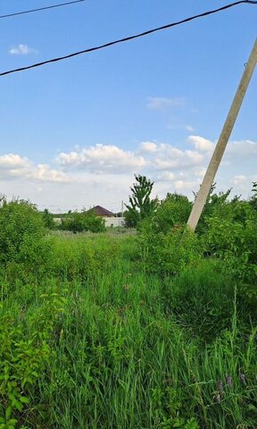 земля ст-ца Старокорсунская р-н Карасунский фото