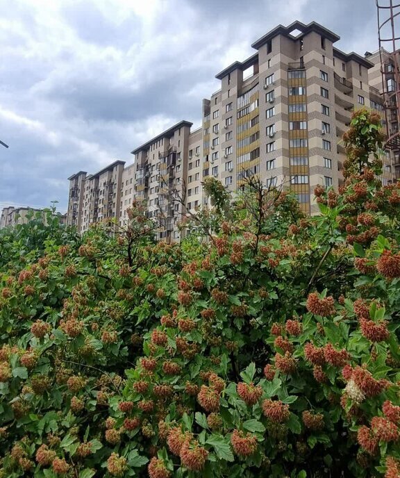 квартира г Одинцово ул Триумфальная 2 Одинцово фото 1