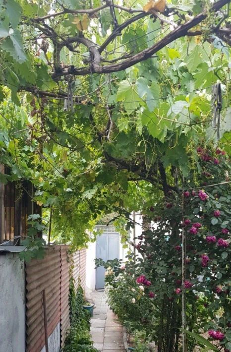 квартира г Евпатория ул имени Белогубца 3 фото 11
