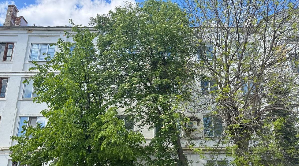 квартира р-н Зеленодольский г Зеленодольск ул Комсомольская 24 фото 17