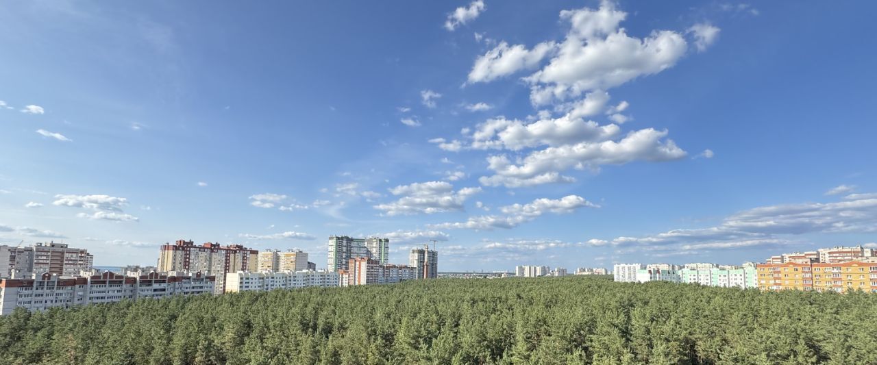 квартира г Воронеж р-н Коминтерновский б-р Победы 50а фото 25