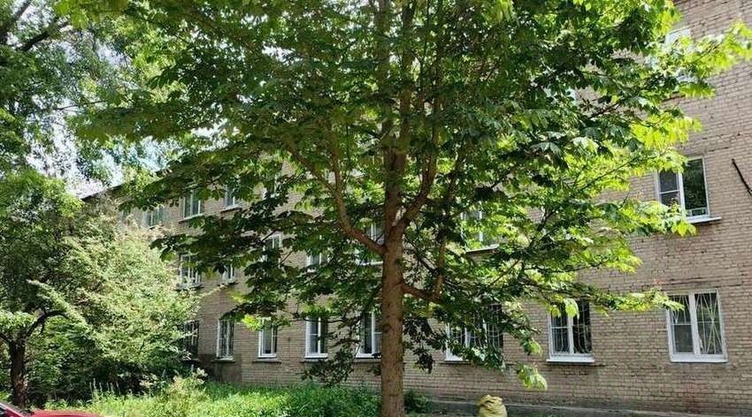квартира г Воронеж р-н Коминтерновский ул Машиностроителей 25 фото 19