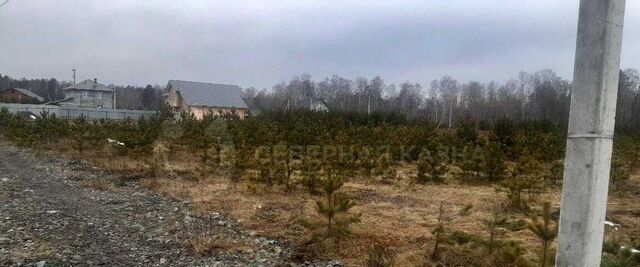 земля Ботаническая Аэродром ДНП фото