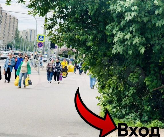 свободного назначения метро Озерки дом 56к/1 фото