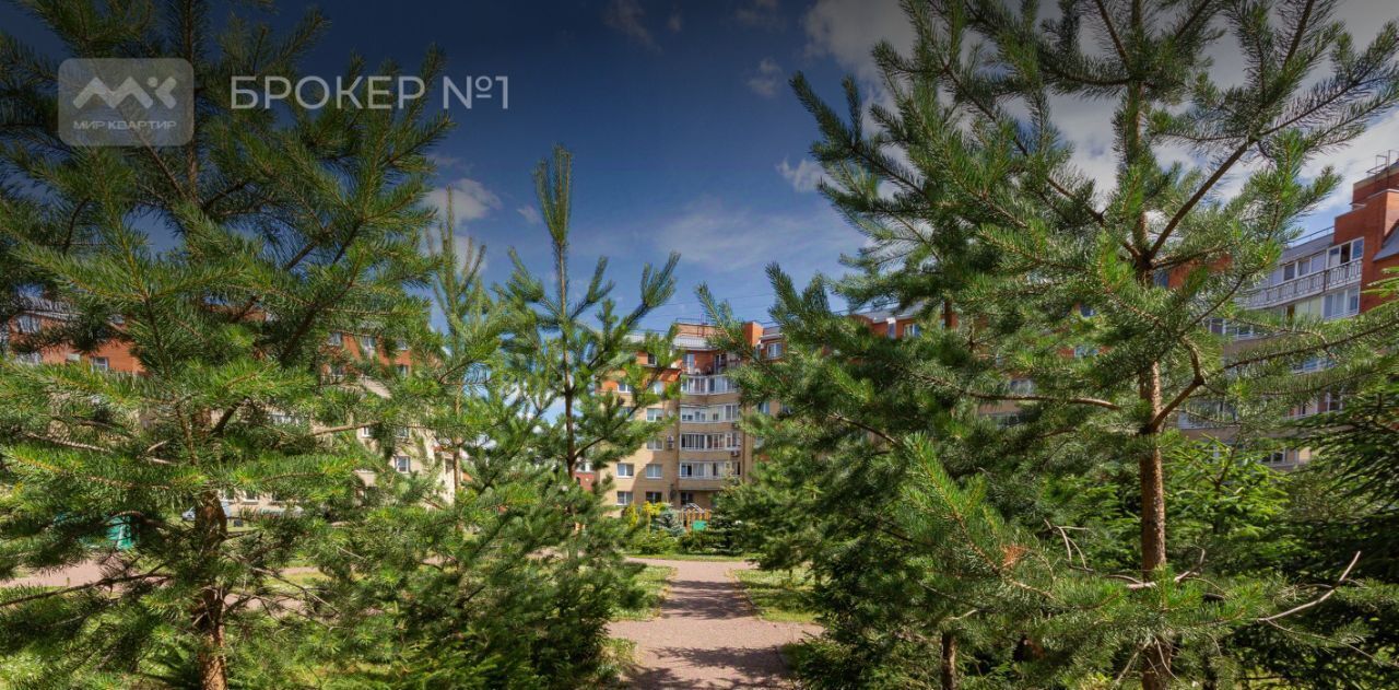 квартира г Пушкин ул Архитектора Данини 11/6 метро Купчино фото 33