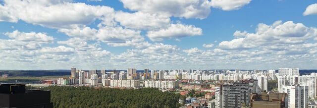 Чкаловская ул Краснолесья 10/4 фото